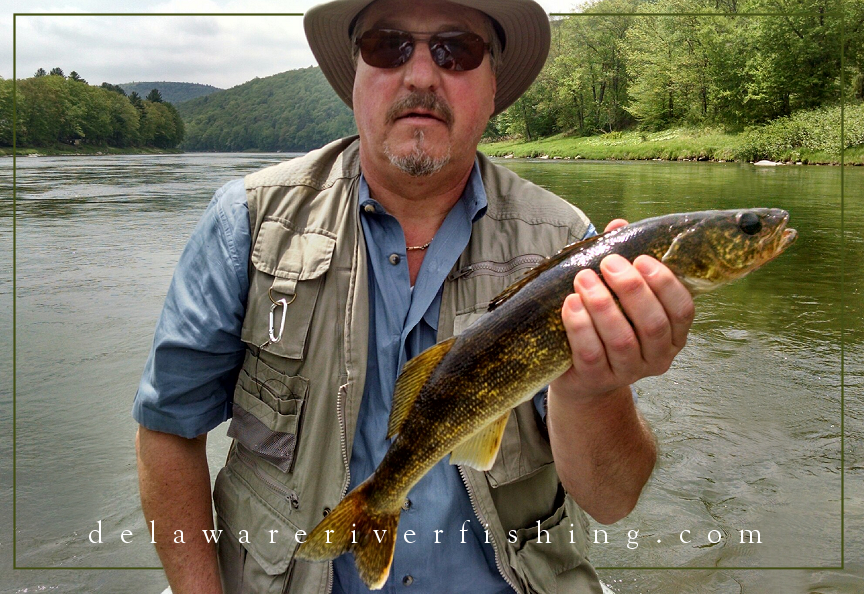 Fishing Report for the Upper Delaware River - Catskills - Poconos:: New  York and Pennsylvania